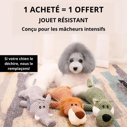 Peluche Indestructible pour Chien - 1 Acheté = 1 Offert