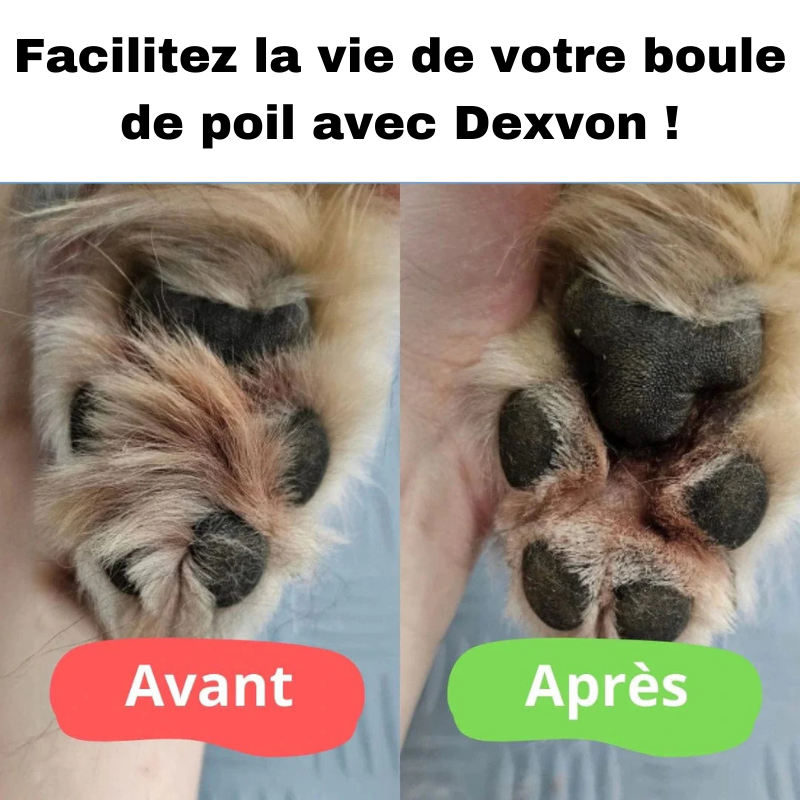 Dexvon - Tondeuse pour Patounes de Chien