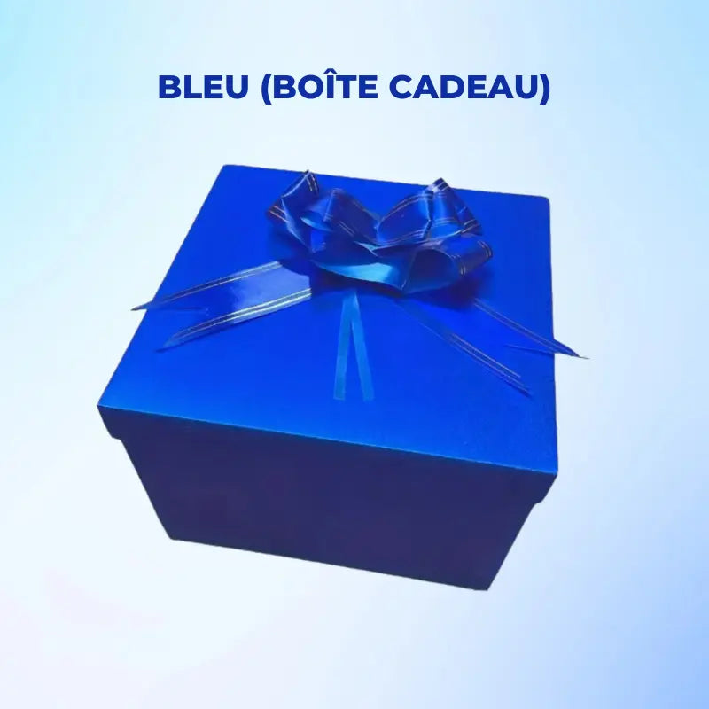 Boite pour Cadeau Surprise - Dexvon™