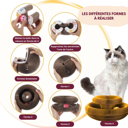 Dexvon™ – L'Accessoire Idéal pour Votre Chat !