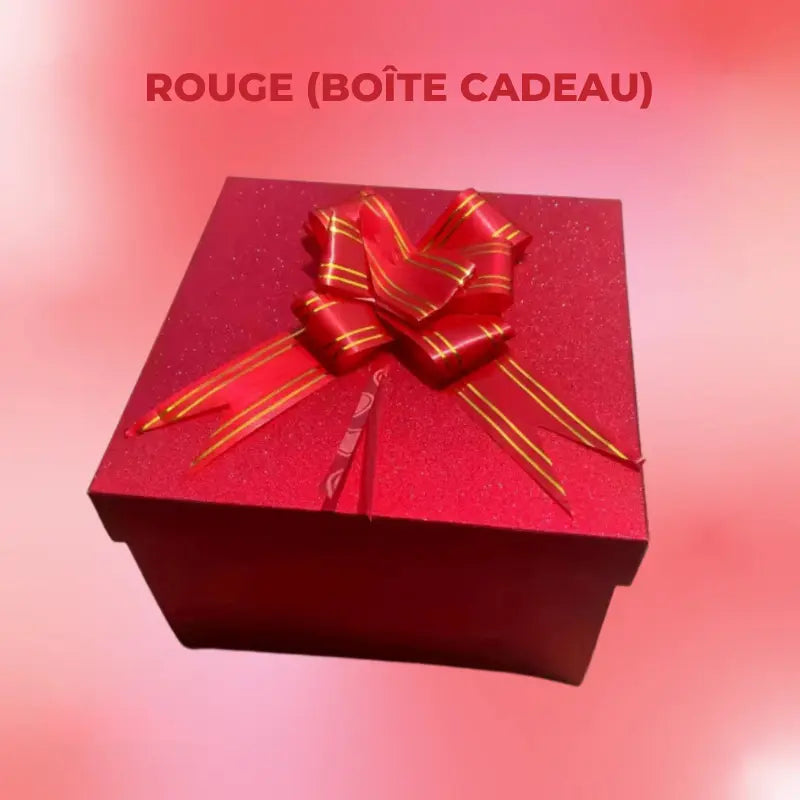 Boite pour Cadeau Surprise - Dexvon™