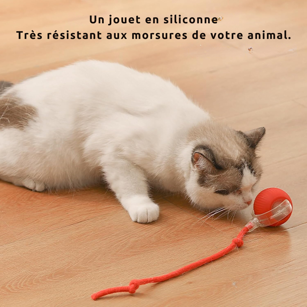 Dexvon - Jouet interactif pour animaux