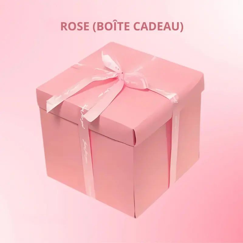 Boite pour Cadeau Surprise - Dexvon™