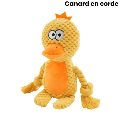 Peluche Indestructible pour Chien - 1 Acheté = 1 Offert