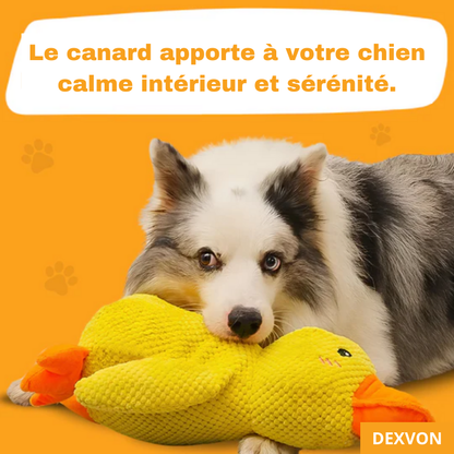 Dexvon - Le Canard Antistress