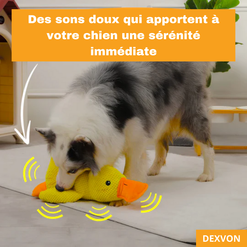 Dexvon - Le Canard Antistress