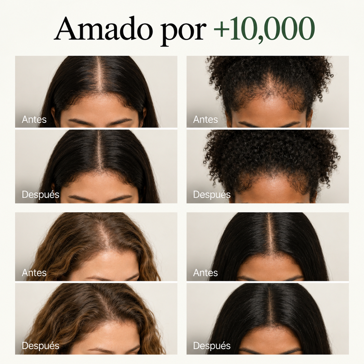HERBÉLIA™ – Bar de revitalización capilar coreana