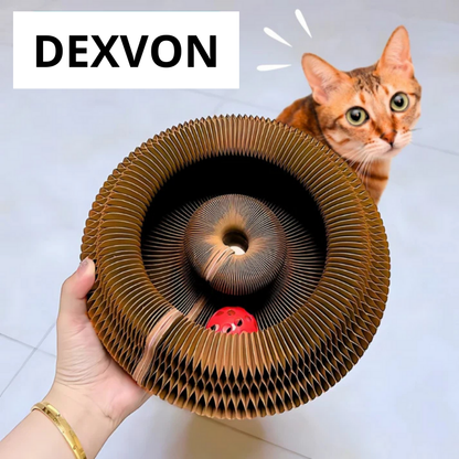 Dexvon™ – L'Accessoire Idéal pour Votre Chat !