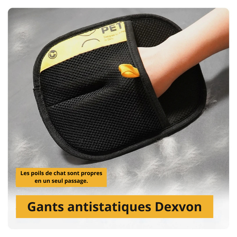 Gants antistatiques - Brosser, démêler et éliminer les poils morts