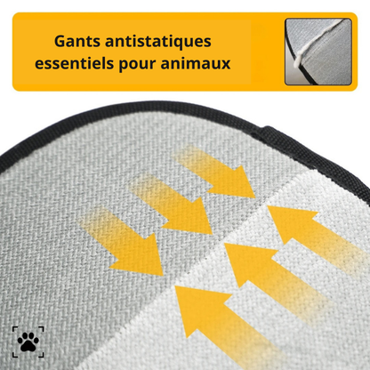 Gants antistatiques - Brosser, démêler et éliminer les poils morts