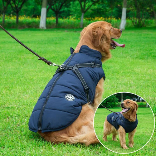 Dexvon ™ - Manteau imperméable pour chien