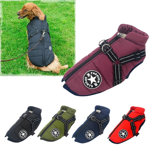 Manteau imperméable pour chien